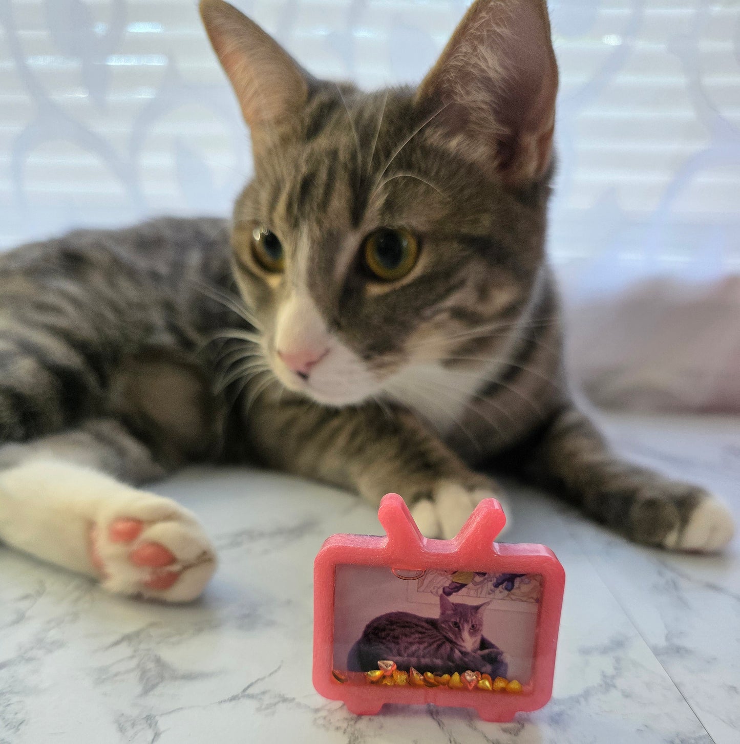Mini Photo TV Keychain